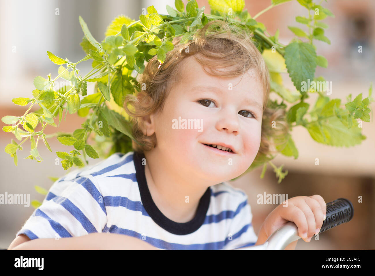 USA, Caroline du Sud, comté de Greenville, Greenville, Portrait of boy (2-3) wearing wreath Banque D'Images