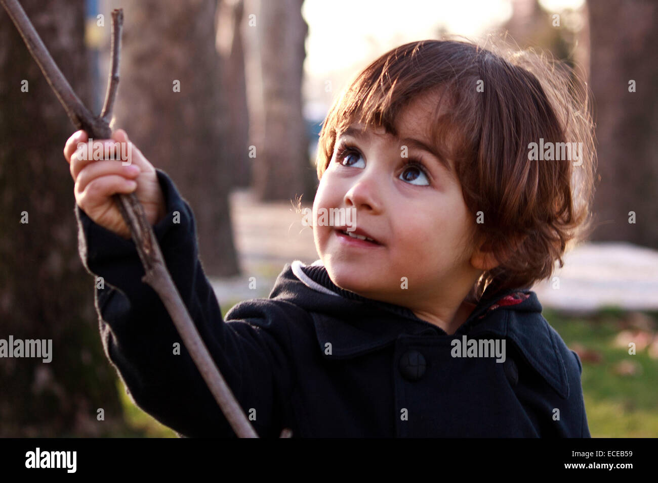 Boy (2-3) avec stick in park Banque D'Images