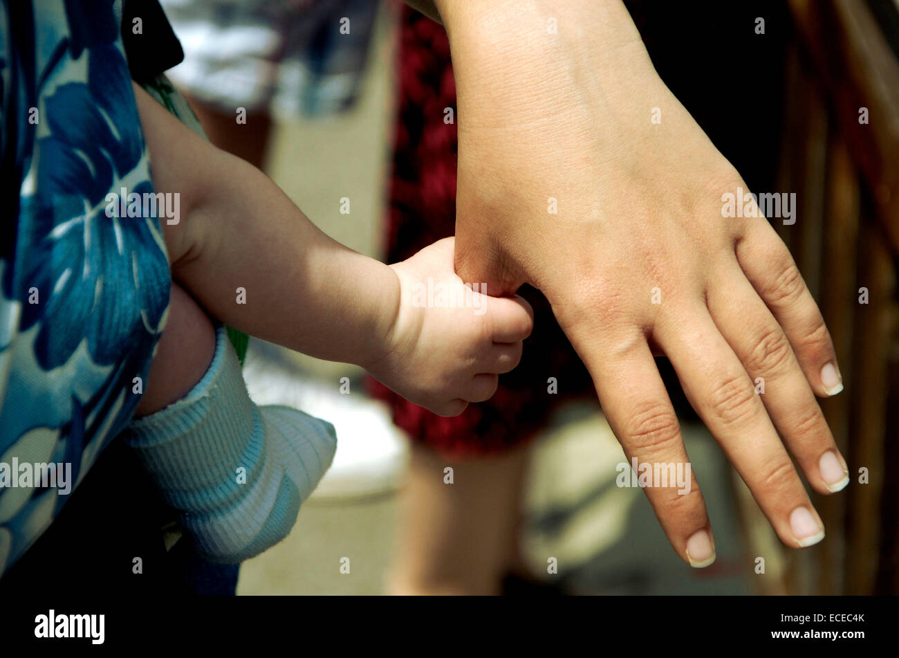 Cropped shot of baby son holding mother's hand Banque D'Images