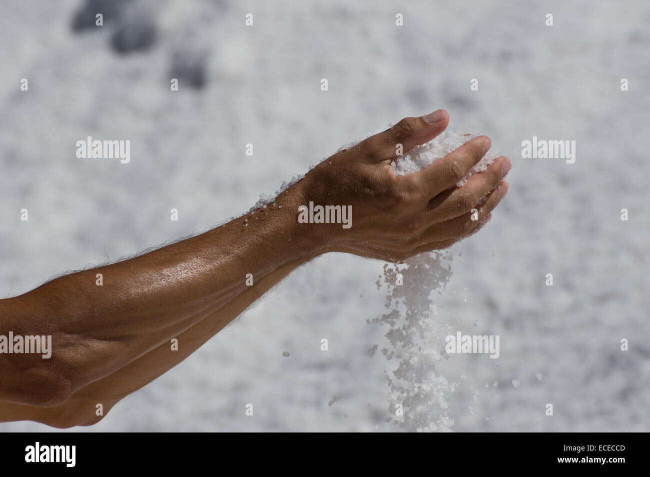 Human hand holding salt Banque D'Images