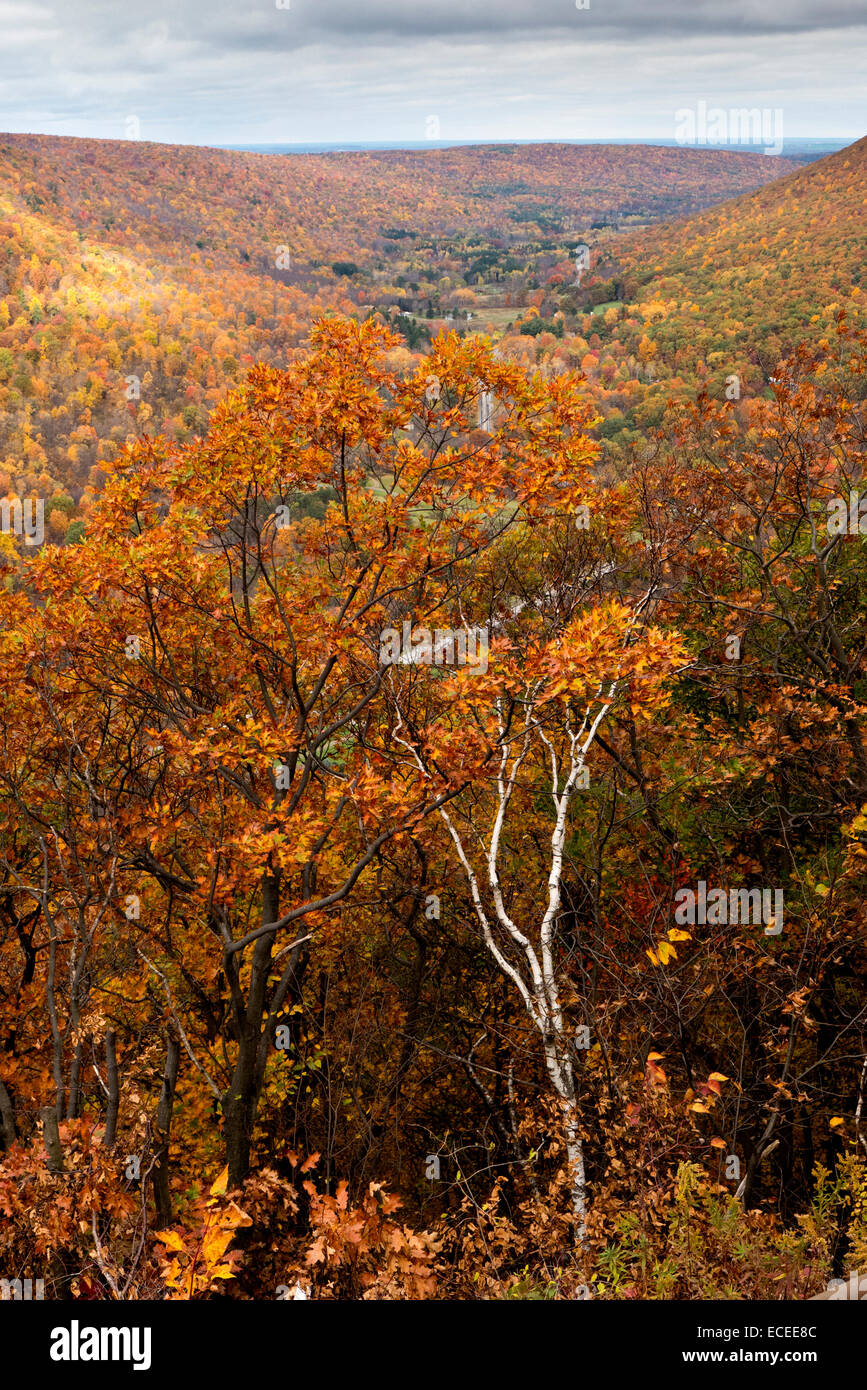 Scène d'automne dans le nord de l'NY USA. Banque D'Images