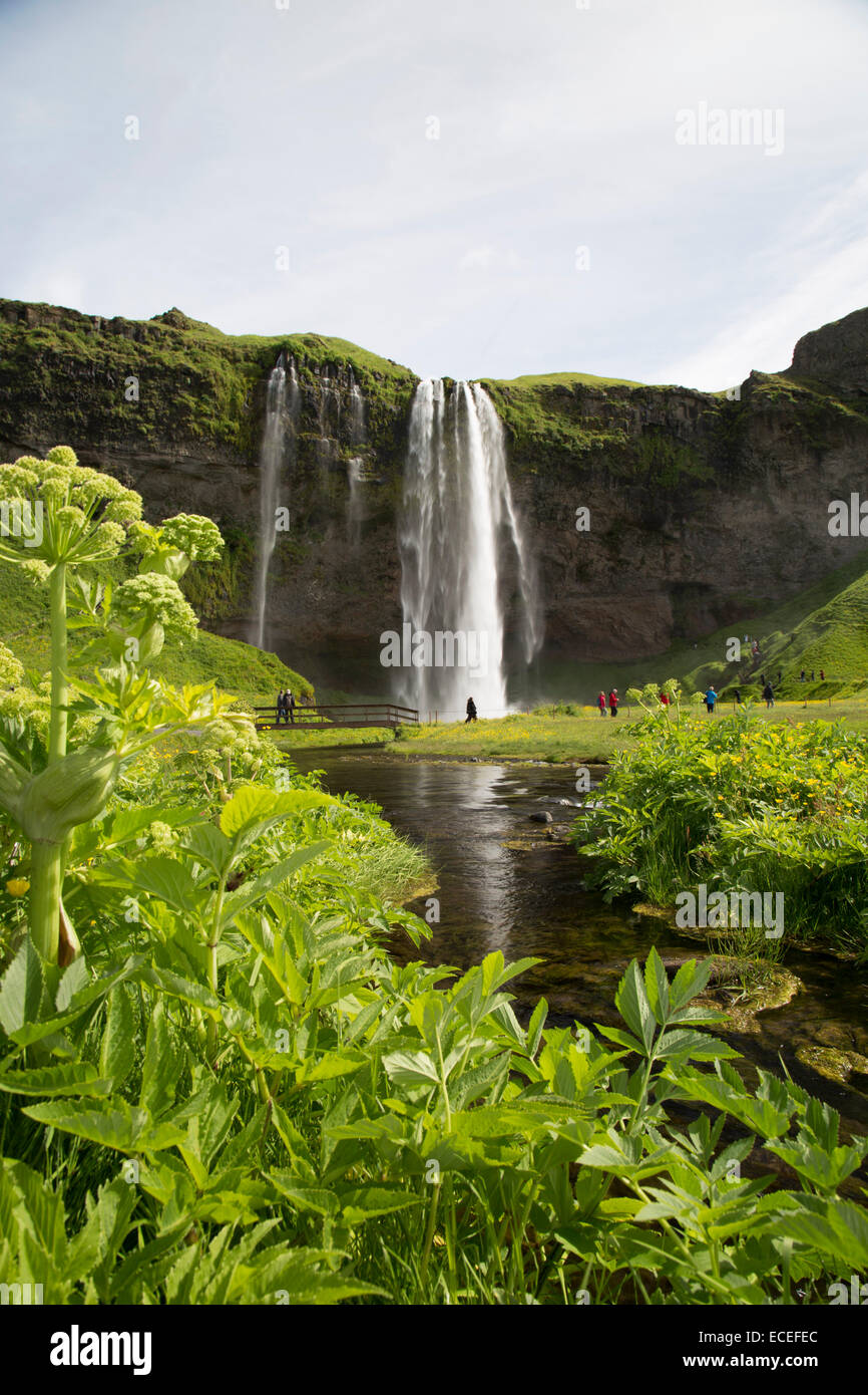 Seljalandsfoss en Islande Banque D'Images