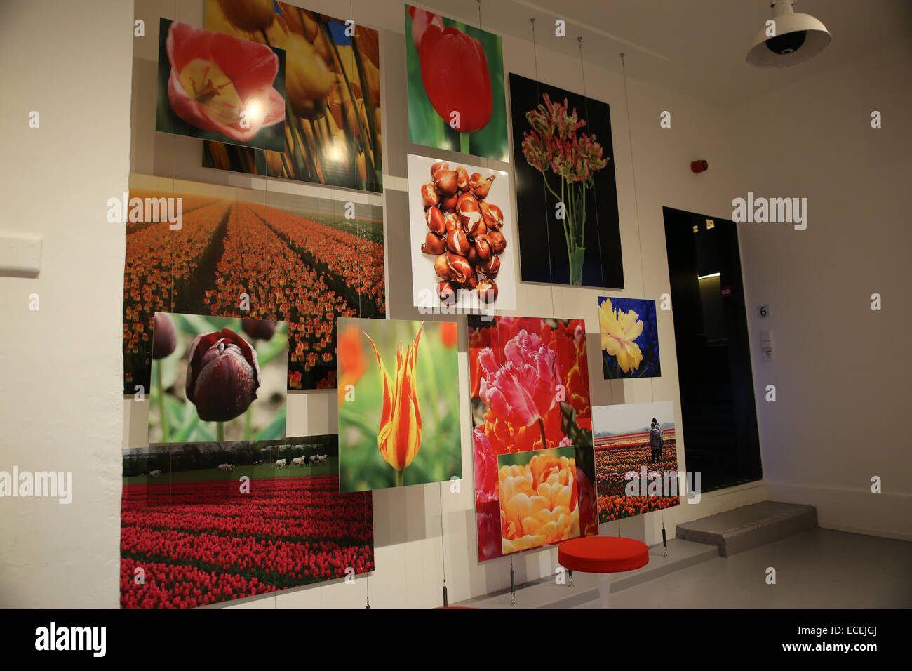 Tulip museum amsterdam Banque de photographies et d’images à haute