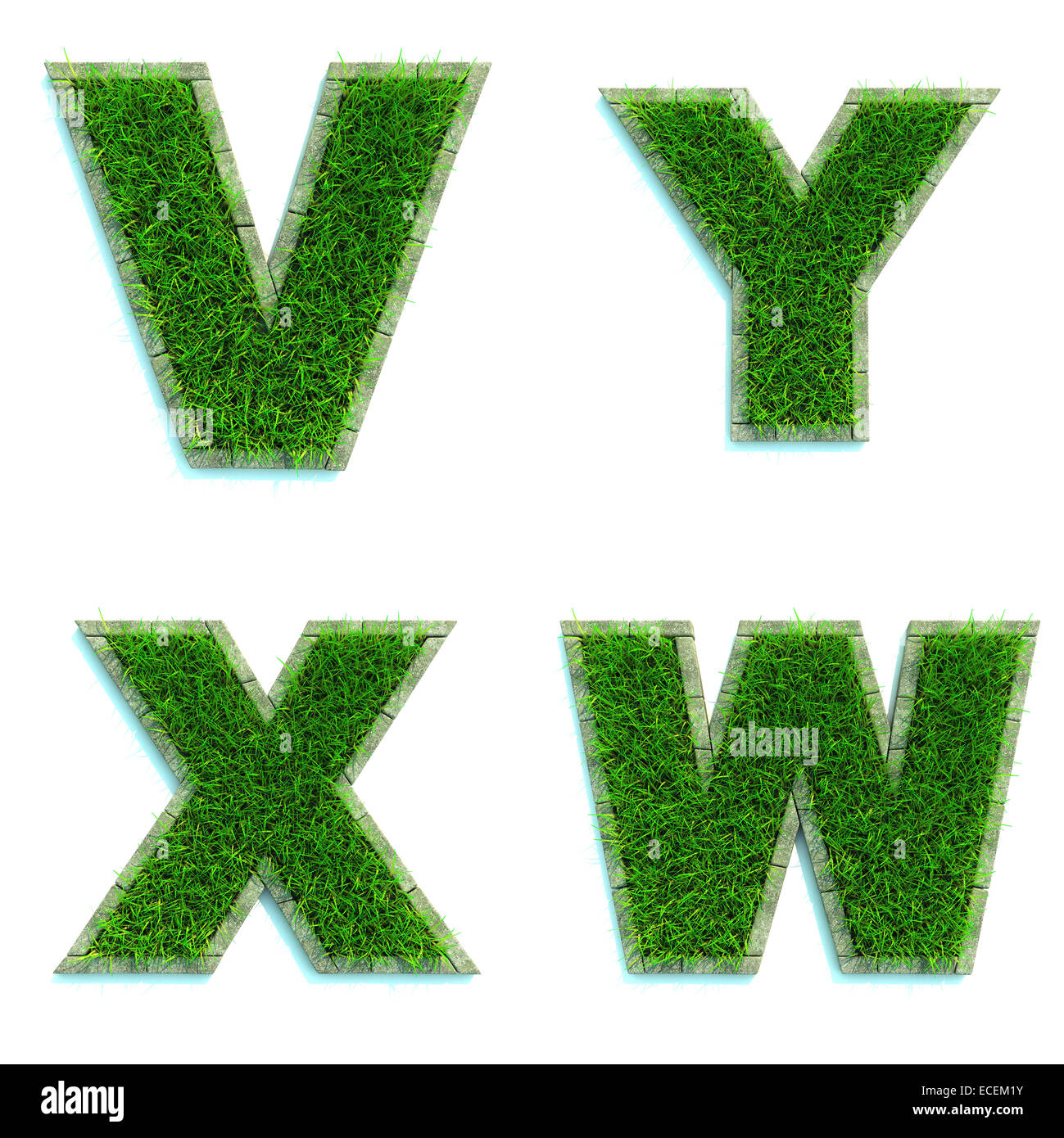 Lettres V, Y, X, W comme Lawn - Ensemble de 3d. Banque D'Images