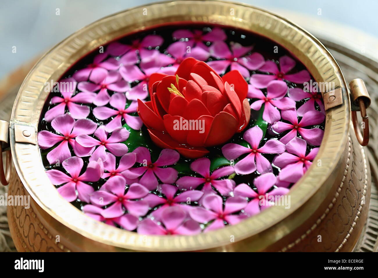 Martelé à la main en laiton ronde népalais navire contenant de l'eau avec fleur de lotus rouge et rose pétales de jasmin flottant. Pokhara Banque D'Images