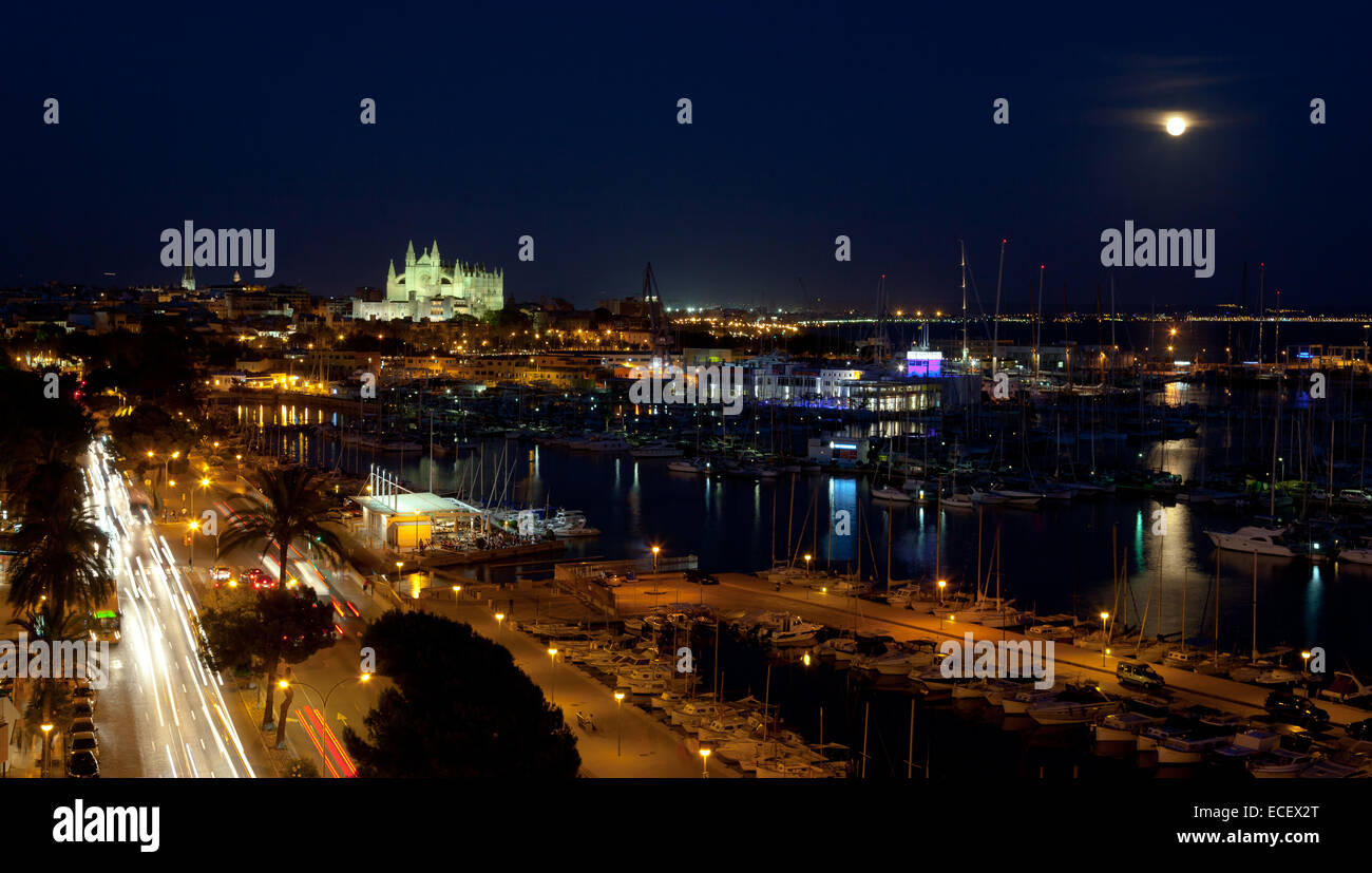 Meilleure vue sur Palma de Majorque avec la Cathédrale Santa Maria de nuit. Banque D'Images