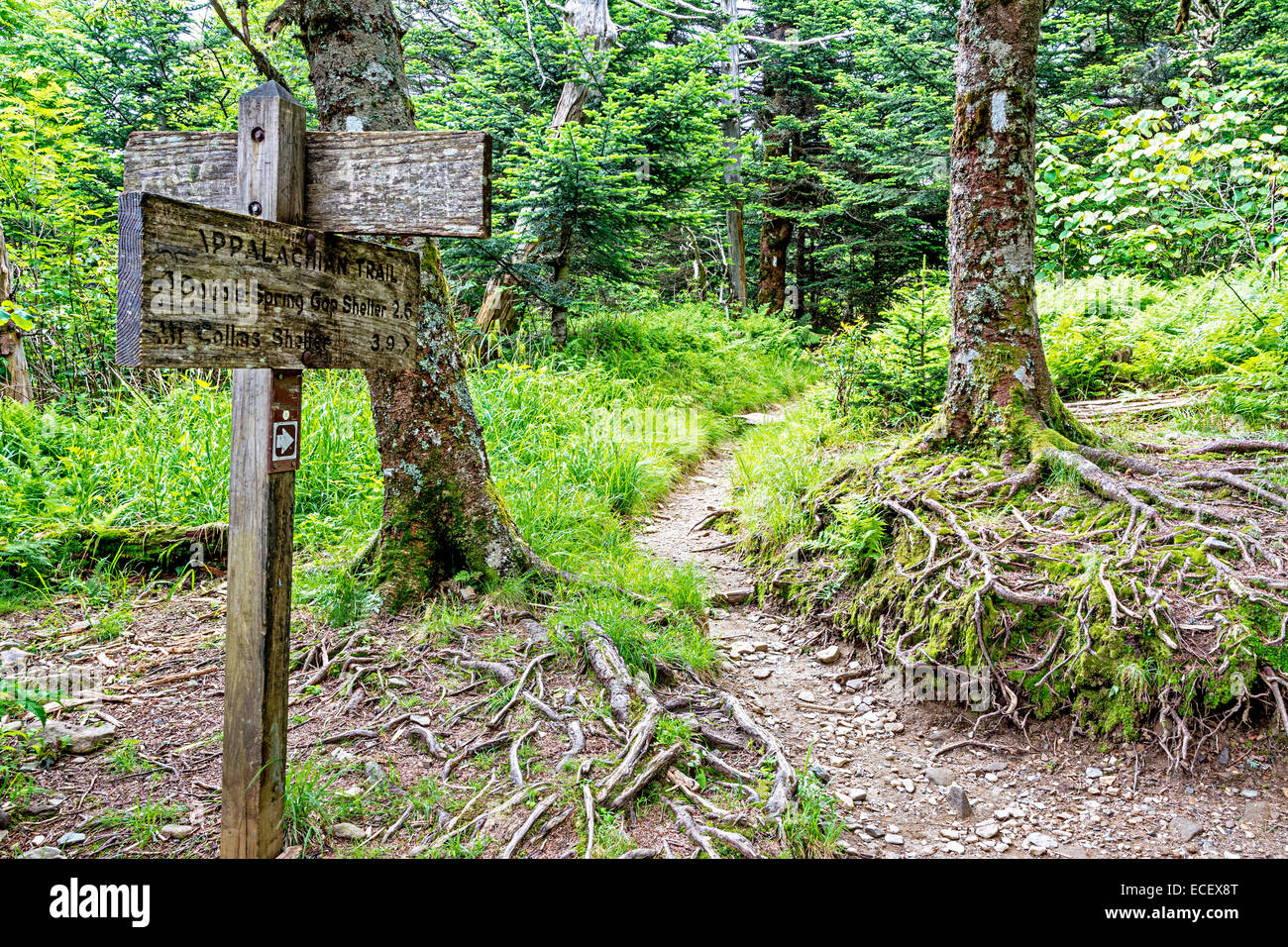 Sentier des Appalaches et signer Banque D'Images