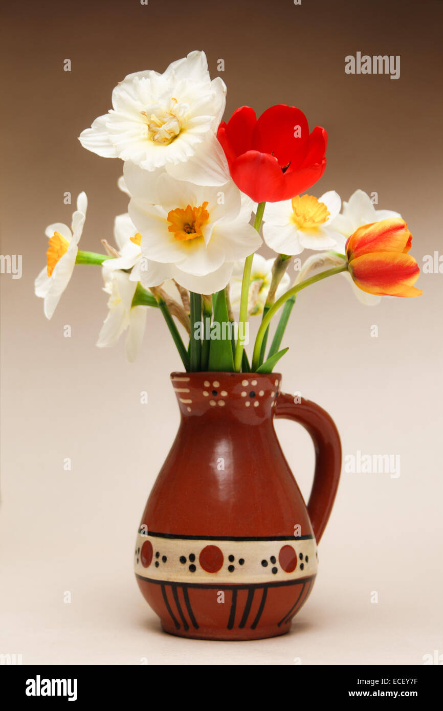Les tulipes et les narcisses dans un vase Banque D'Images