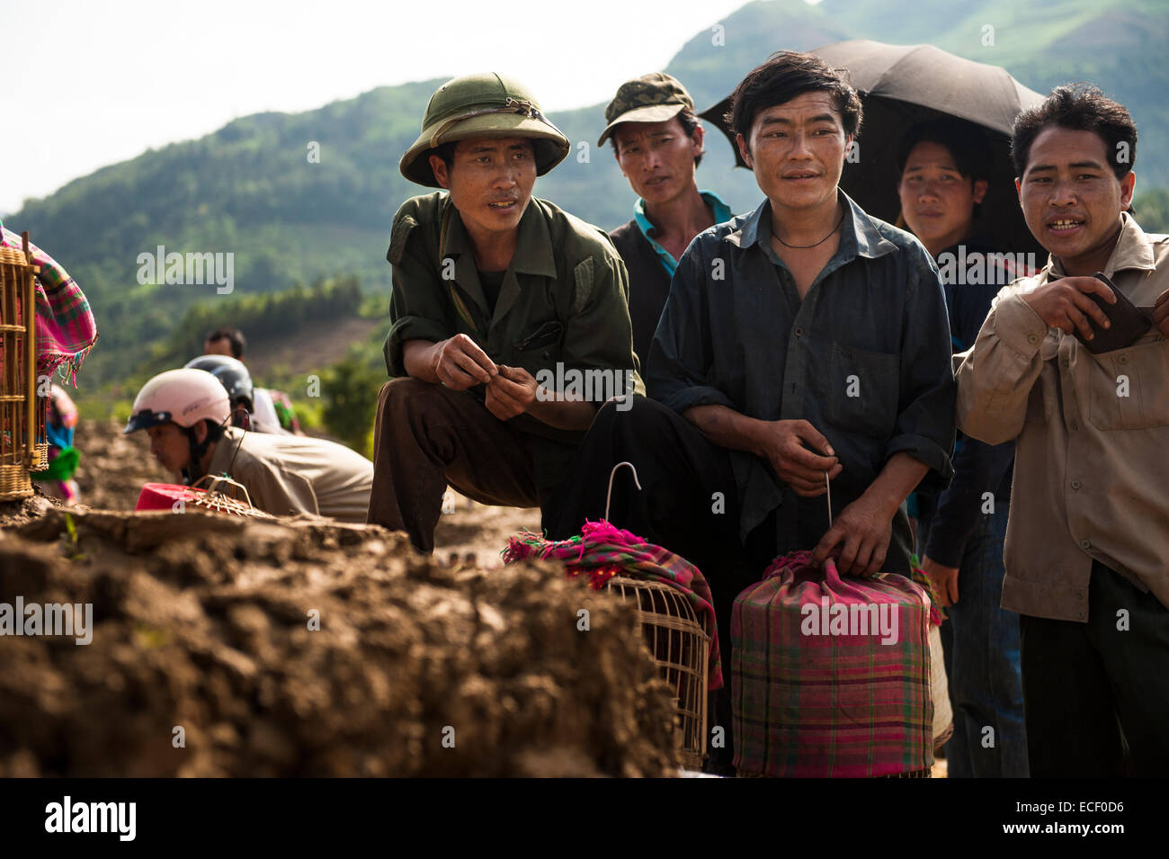 Les hommes Hmong en observant les oiseaux chanteurs à vendre au Bac Ha Market Banque D'Images