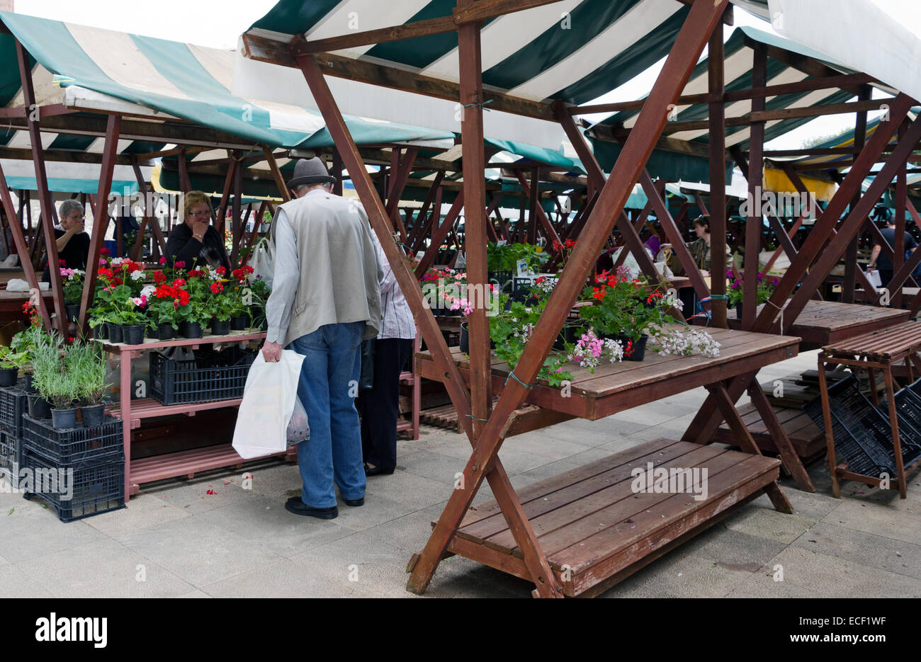 ZADAR, Croatie - 21 MAI 2013 : les gens dans la rue du marché traditionnel de fleurs et de légumes, à Zadar, Croatie. Le 21 mai, 2013 Banque D'Images