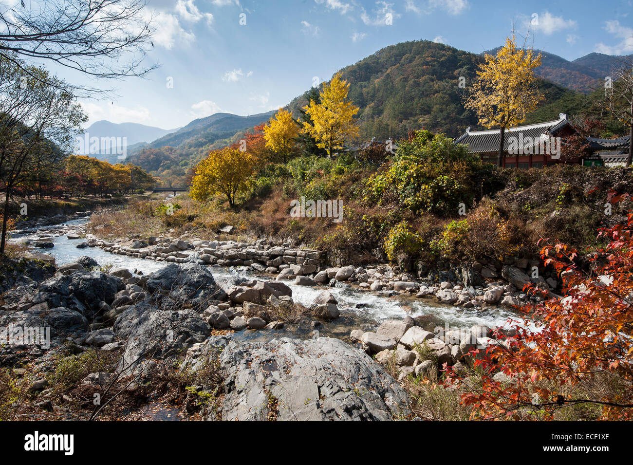 Couleurs d'automne au village, société, de Corée du Sud Banque D'Images