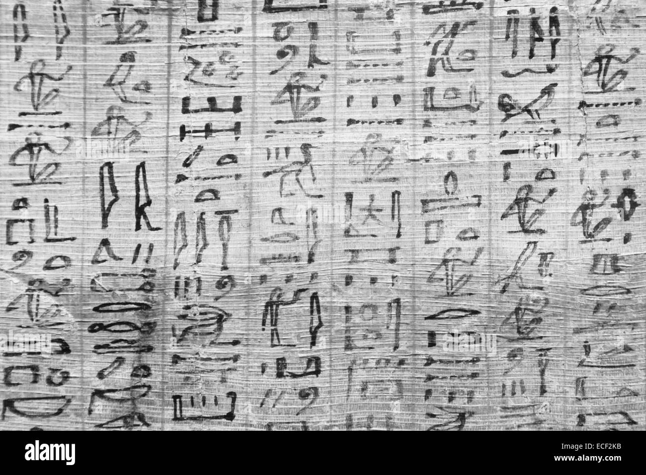 Détail de l'ancienne Livre des Morts (1070) de la C.-B., Thèbes - Égypte Banque D'Images