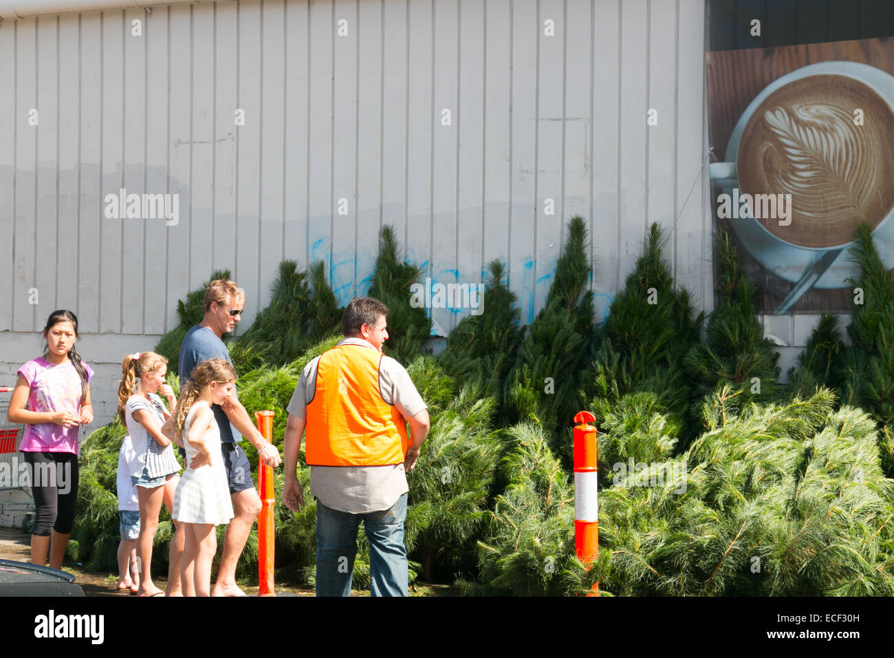 Le père et les enfants choisir un arbre de Noël pour la maison à Manly, Australie SYDNEY, Banque D'Images