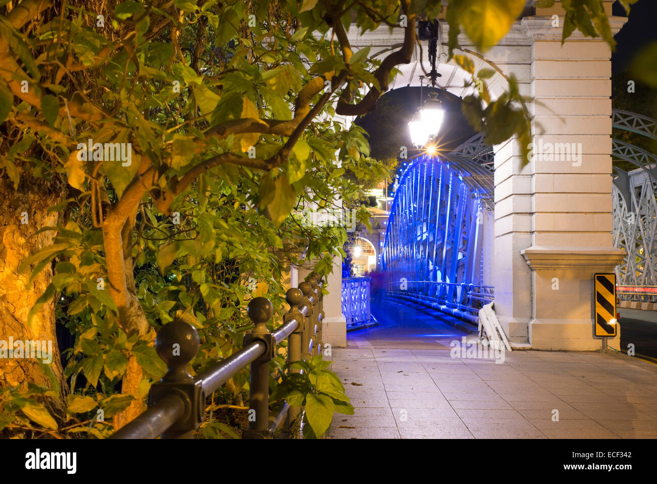 Vert des arbres à proximité du célèbre pont Anderson dans la ville de Singapour. Ce pont a été achevé en 1910. Banque D'Images Vert des arbres à proximité du célèbre pont Anderson dans la ville de Singapour. Ce pont a été achevé en 1910. Banque D'Images