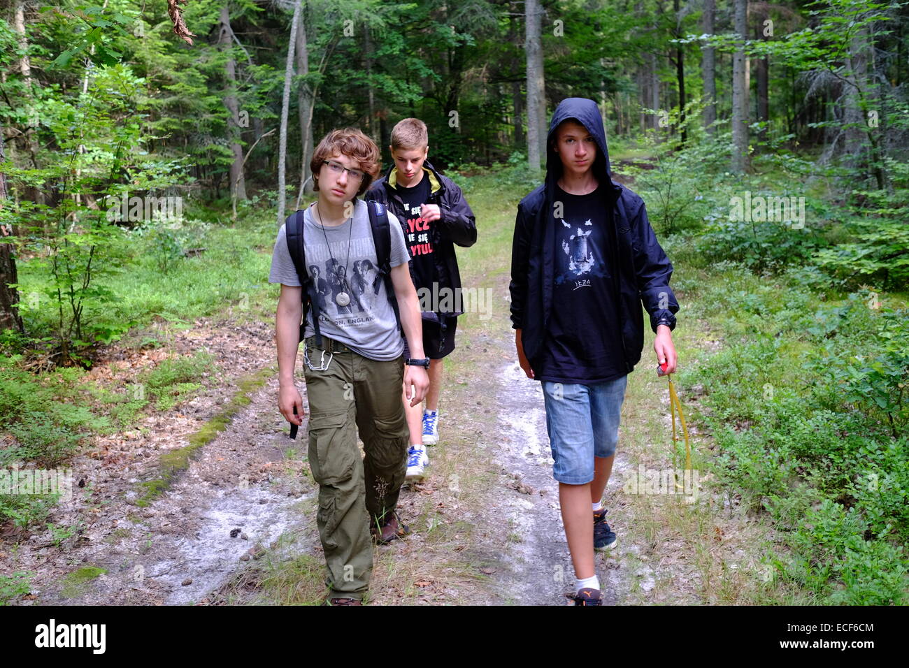 Les adolescents au camp, en forêt de type scout Lubianka, près de Poznań, région de Sainte-Croix Banque D'Images