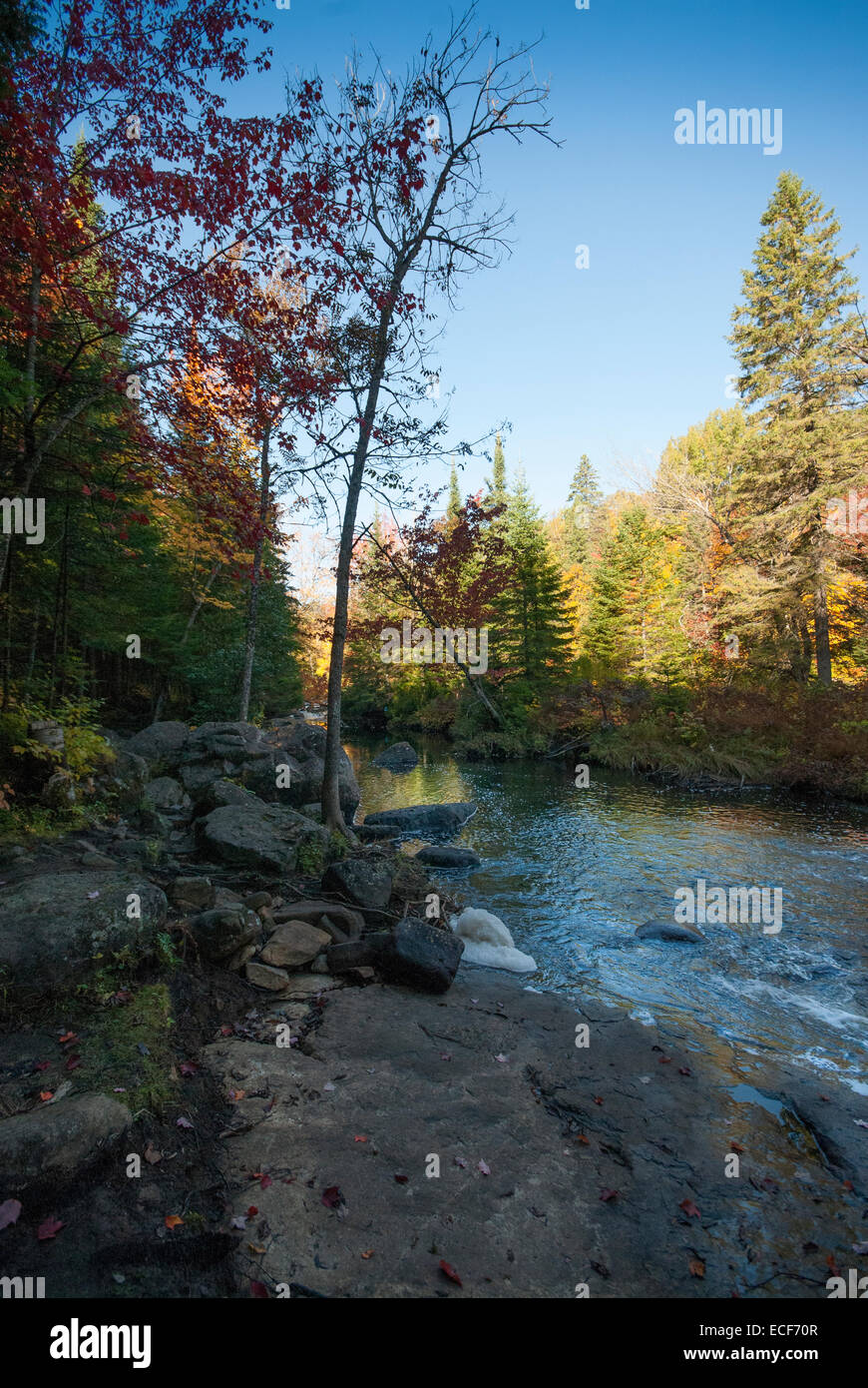 La nature, les bois et la rivière à l'automne Banque D'Images