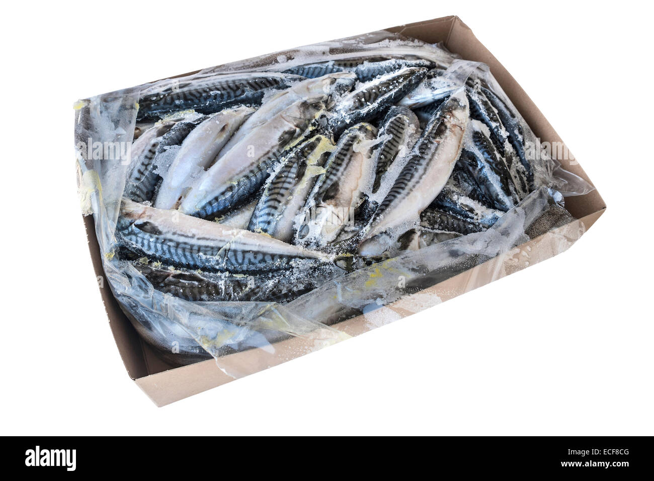 Quelques tranches de poisson congelé Photo Stock - Alamy