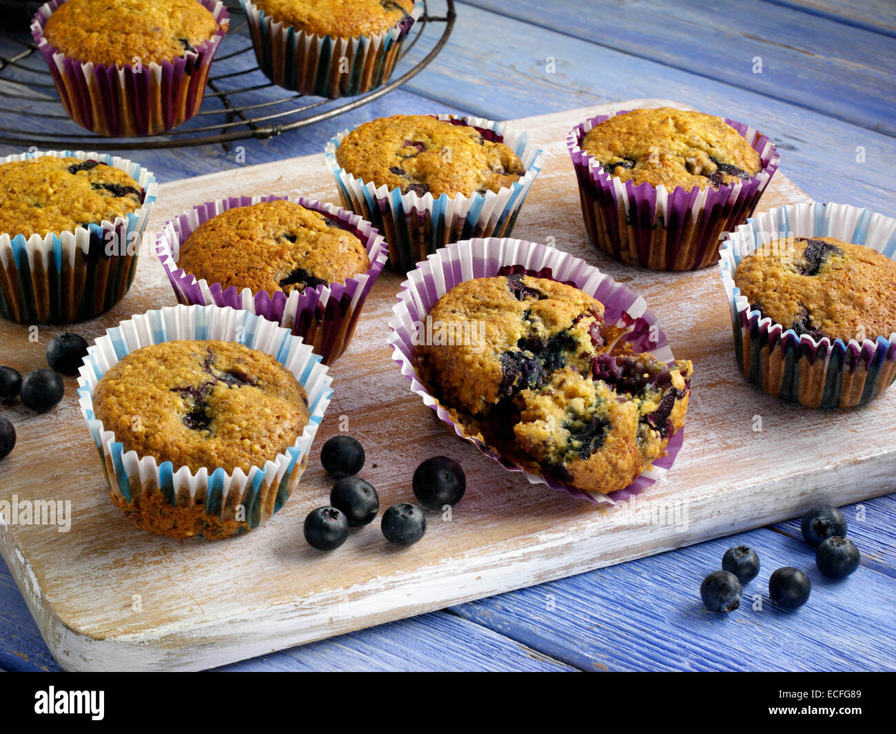 Muffins aux bleuets Banque D'Images