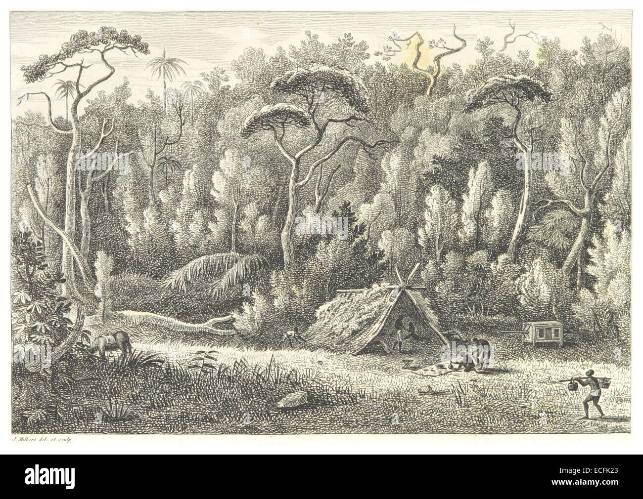 MILBERT(1812) P055 - Île-de-France, vue prise dans les EAC de la Montagne du pouce Banque D'Images