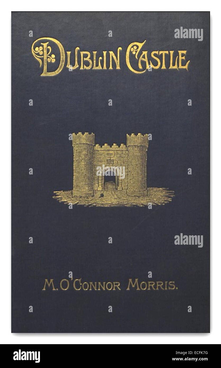 Une représentation de 1889 du château de Dublin, une structure emblématique de l'histoire irlandaise, montrant son architecture et son importance en tant que siège du gouvernement et du pouvoir en Irlande. Banque D'Images
