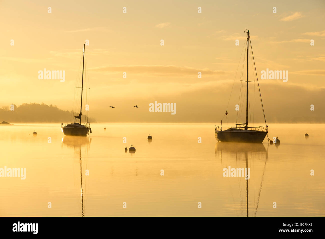 Le lever du soleil sur des bateaux à voile sur le lac Windermere à Ambleside, Lake District, UK. Banque D'Images