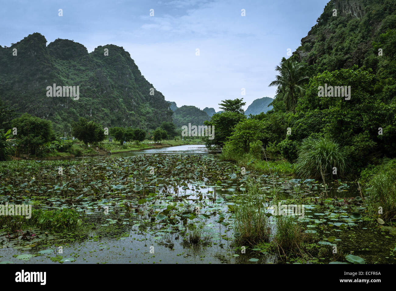 Rivière et Montagne à l'extérieur de Hua Lu, Nord du Vietnam Banque D'Images