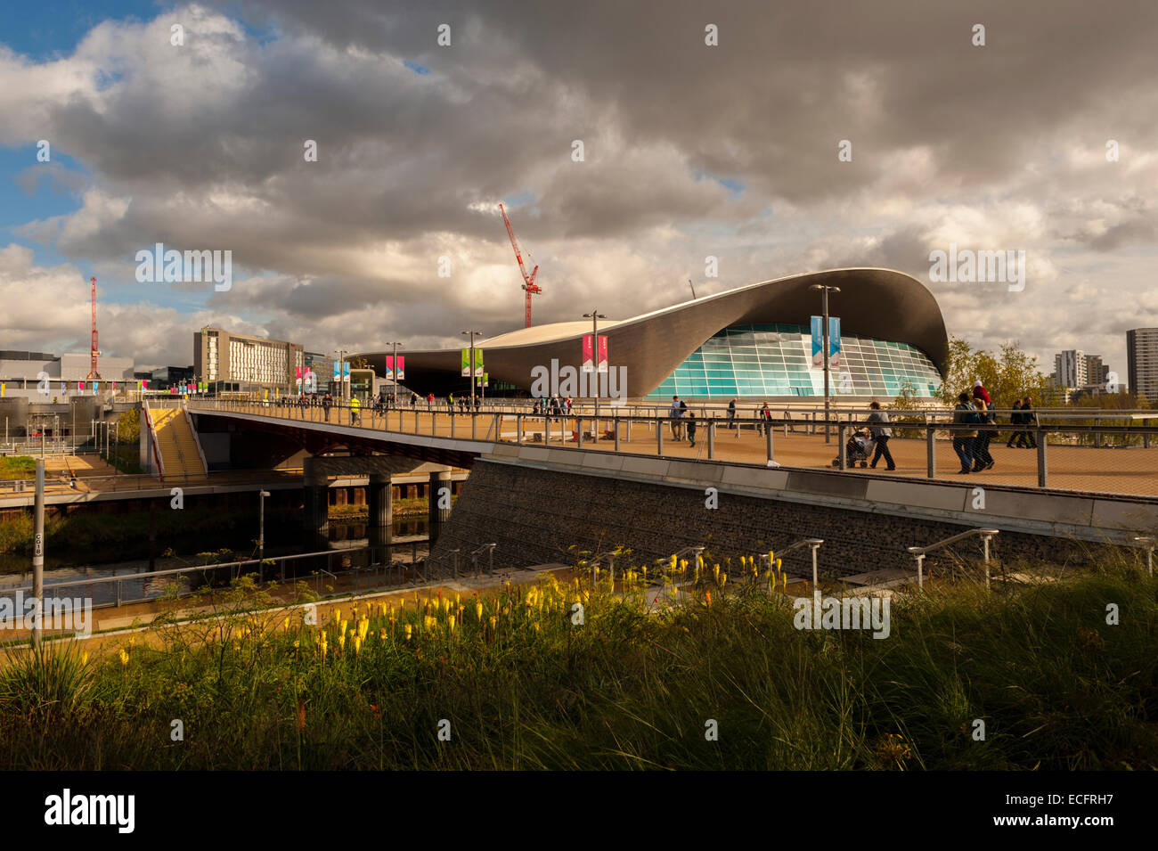 Le centre de Londres dans l'Aquatice Queen Elizabeth Olympic Park de Stratford. Banque D'Images