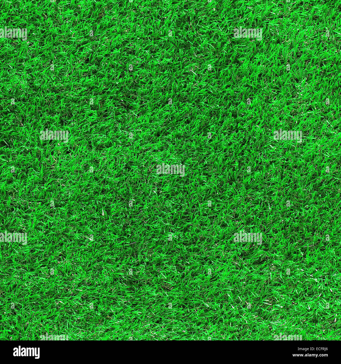 L'herbe verte comme arrière-plan ou de texture Banque D'Images