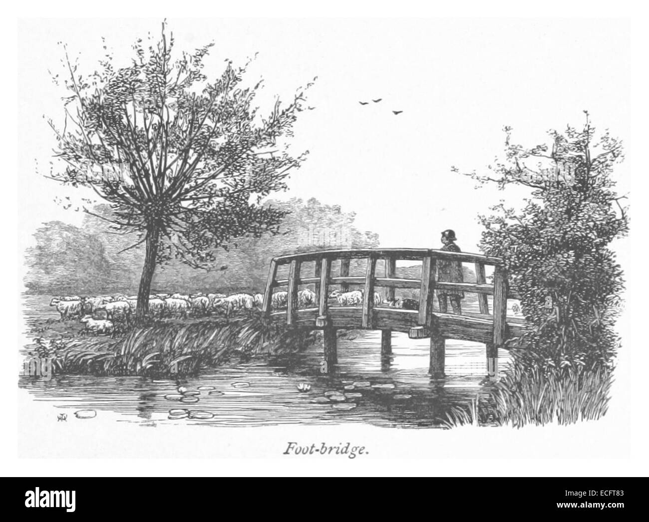 Cette illustration de 1875 par RO montre une passerelle, un élément clé de l'infrastructure de transport, que l'on trouve couramment dans les paysages urbains et ruraux du XIXe siècle. Banque D'Images