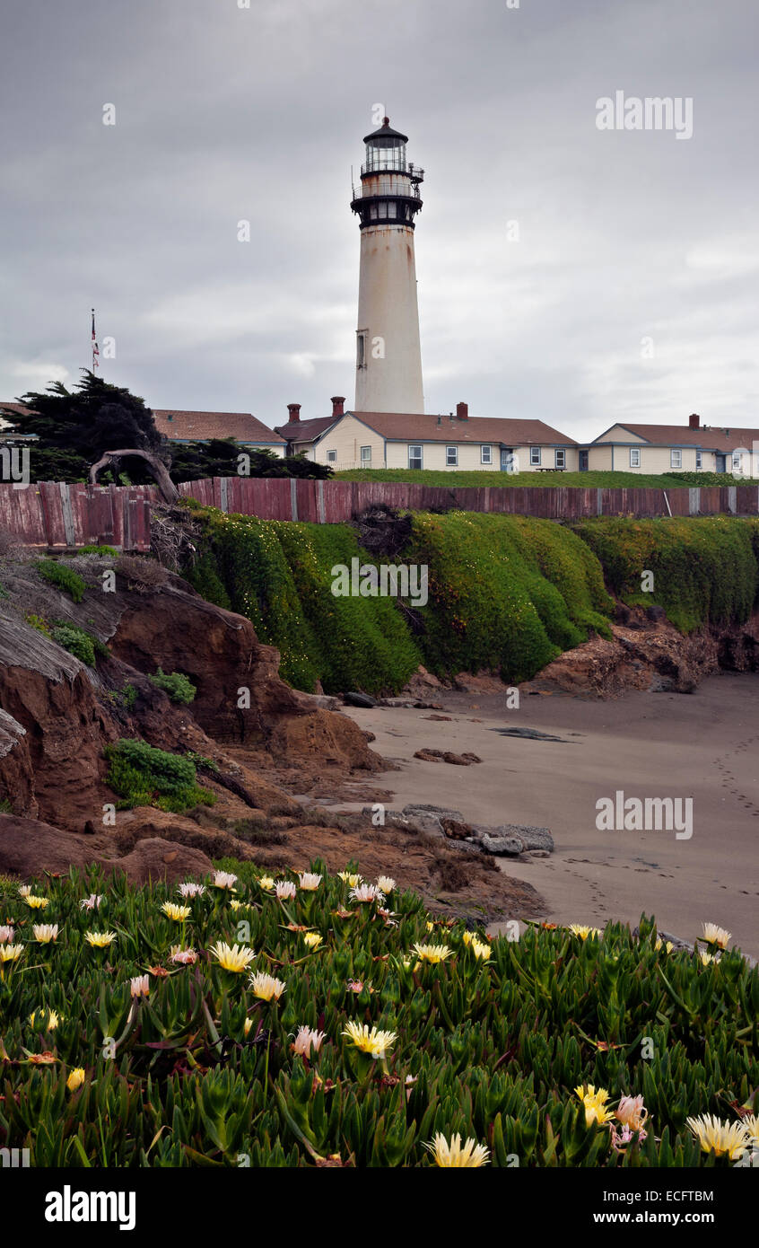 CA02488-00...CALIFORNIE - usine de glace le long de la côte à Pigeon Point Lighthouse. Banque D'Images