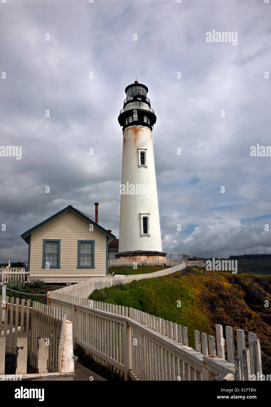 CA02489-00...CALIFORNIE - Pigeon Point Lighthouse. Banque D'Images