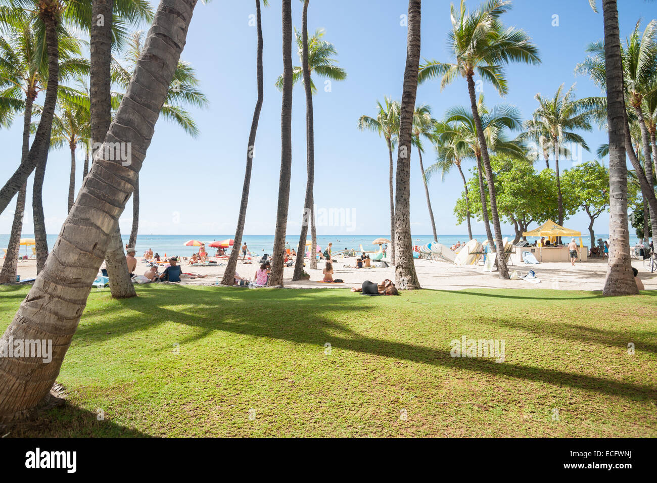 Plage d'occupation. La plage de Waikiki avec les amateurs de plages profiter du soleil en novembre 2014 Banque D'Images