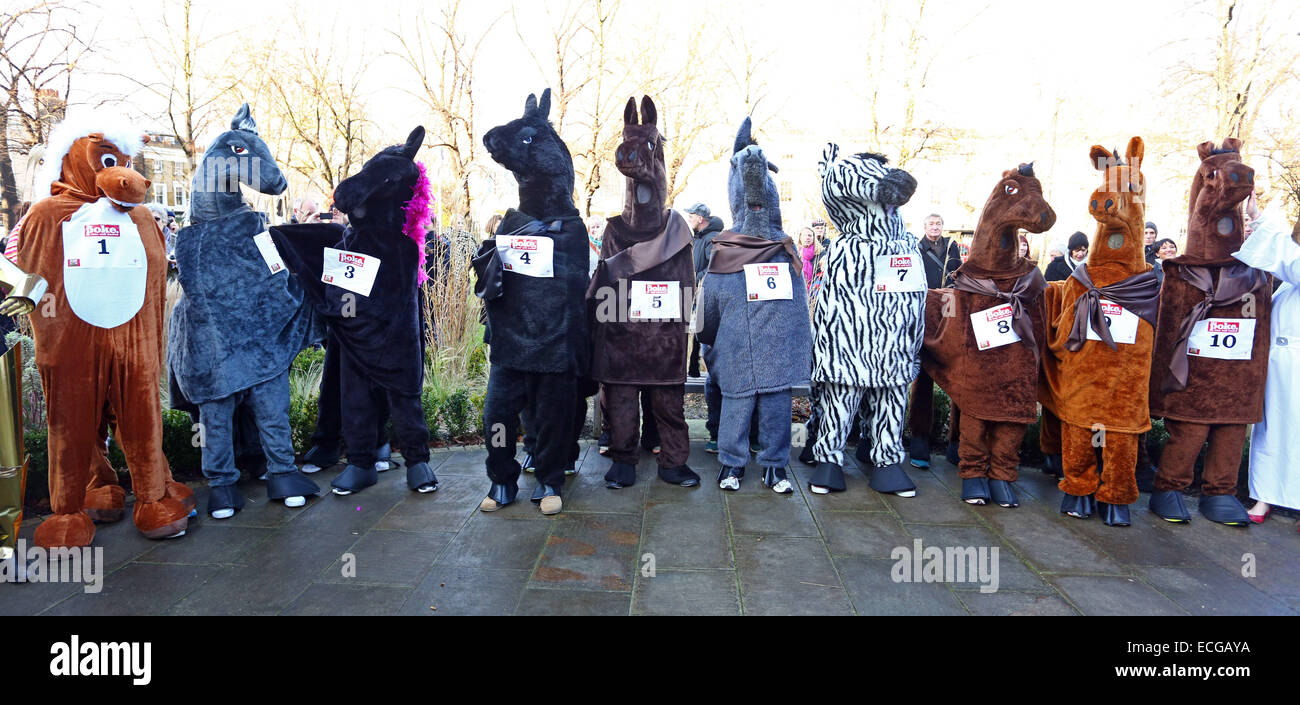 Londres, Royaume-Uni. 14 décembre 2014. Les participants à la course de chevaux annuelle Pantomime de Londres, Greenwich, London, qui est un organisme de bienfaisance fun run avec des gens déguisés en Pantomime chevaux (et des zèbres !) dans l'aide la Demelza Children's Hospice. Cette année le thème était La science-fiction et l'événement a débuté par une parade menée par Dark Vador et ses Stormtroopers et beaucoup Princess Leias étaient sur place pour aider avec le déroulement de la course. Crédit : Paul Brown/Alamy Live News Banque D'Images