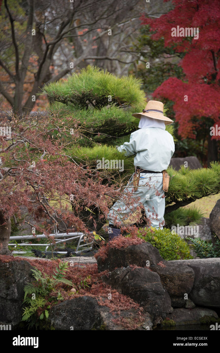 Jardinier japonais Banque de photographies et d'images à haute résolution -  Alamy