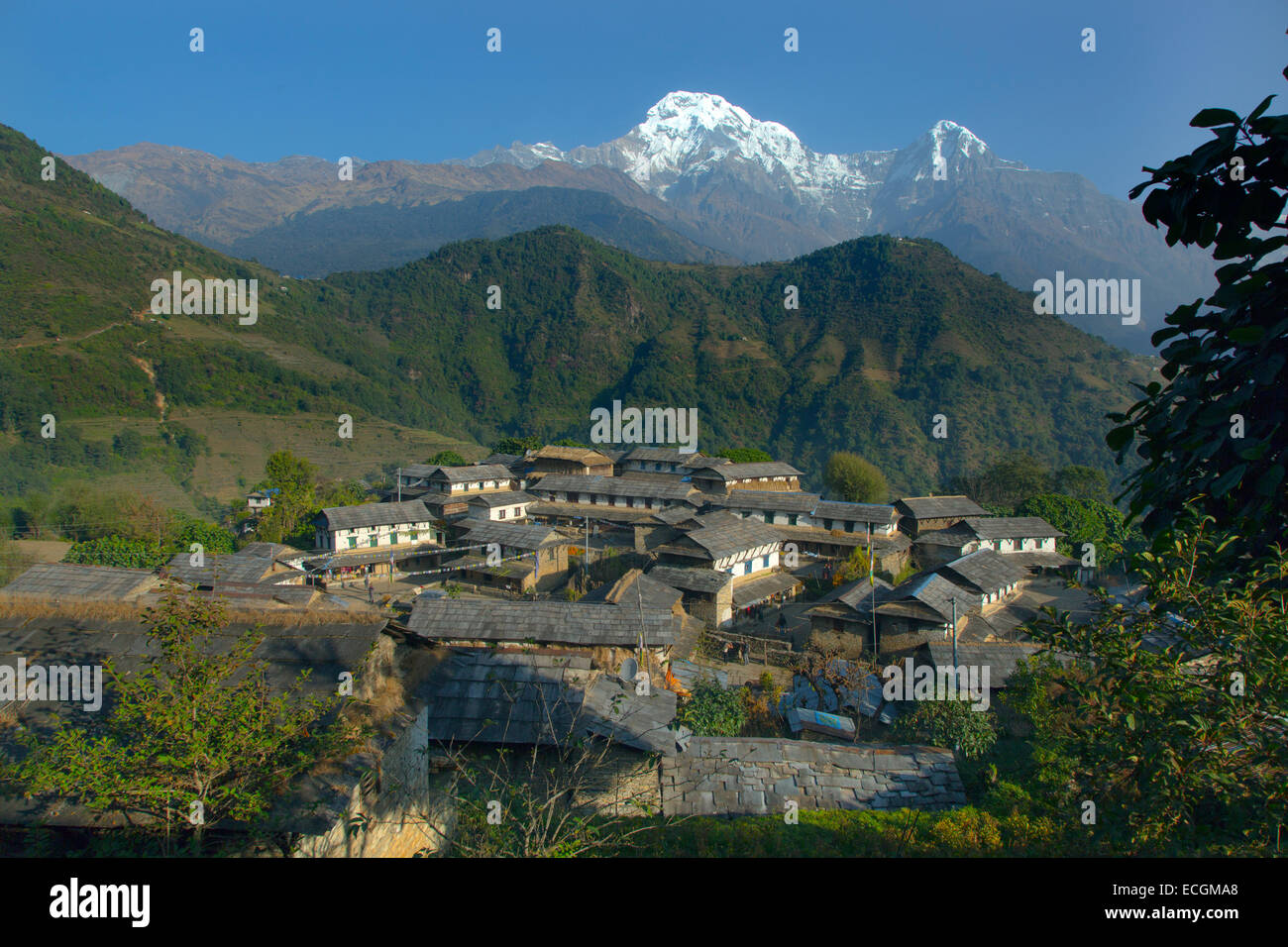 Le village de montagne de Ghandruk dans la vallée de la modi Khola à environ 2000 mètres au sud de l'Annapurna et de distance en Y. Banque D'Images