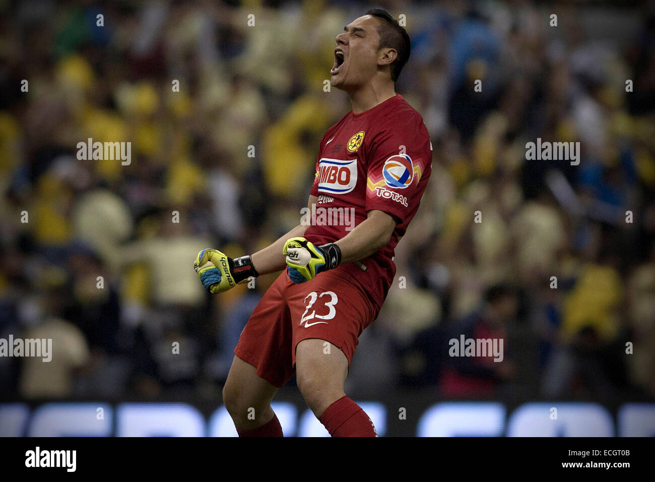 La ville de Mexico, Mexique. 14 Décembre, 2014. America's gardien Moises Munoz célèbre un but durant le match retour de la finale de l'ouverture de l'Tournmanet 2014 MX Ligue contre Tigres dans le stade Azteca de Mexico, capitale du Mexique, au 14 décembre 2014. © David de la Paz/Xinhua/Alamy Live News Banque D'Images