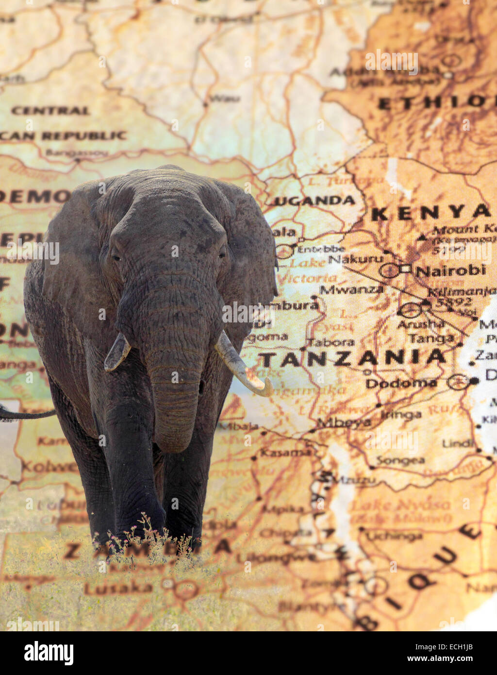 L'éléphant d'anciennes recouvrant une carte style vintage de Tanzanie et Kenya Banque D'Images