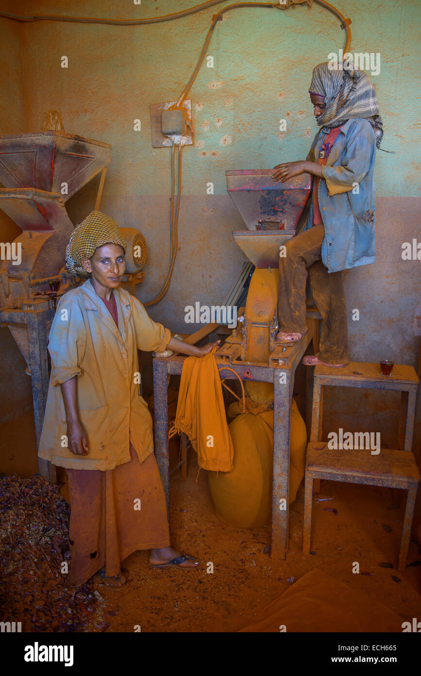 Les femmes travaillant dans une usine d'épices poivre rouge berbère au Medebar market, Asmara, Erythrée Banque D'Images