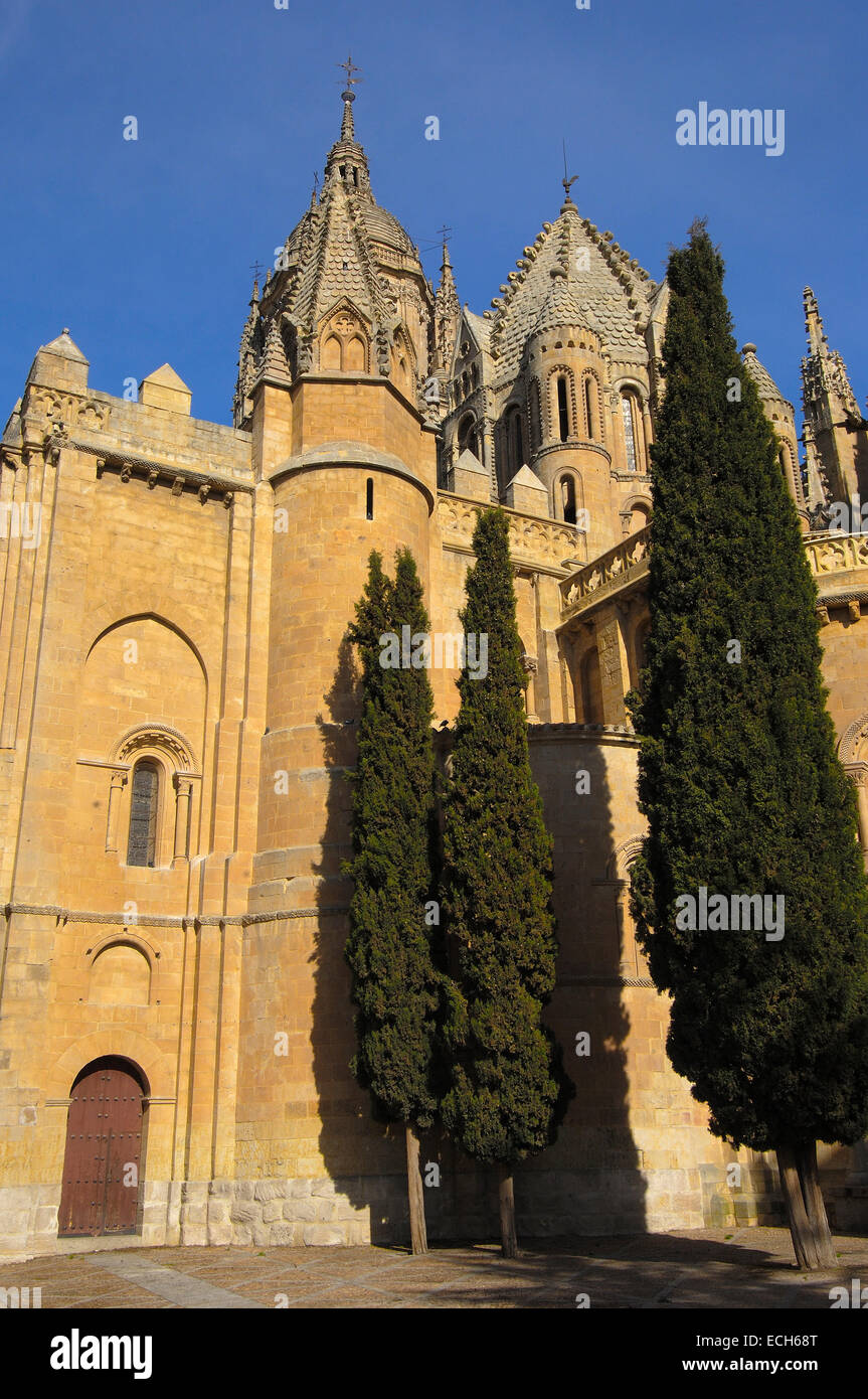 Ancienne cathédrale, 12ème - 13ème siècle, Salamanque. Castille-león, Espagne Banque D'Images