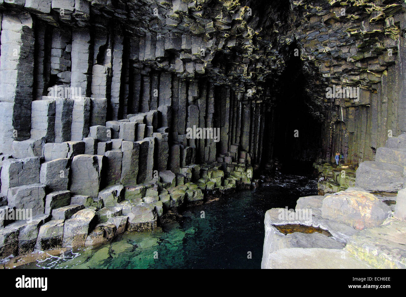 La réserve naturelle de l'île de Staffa, Hébrides intérieures, Argyll et Bute, Mull, Ecosse, Royaume-Uni, Europe Banque D'Images