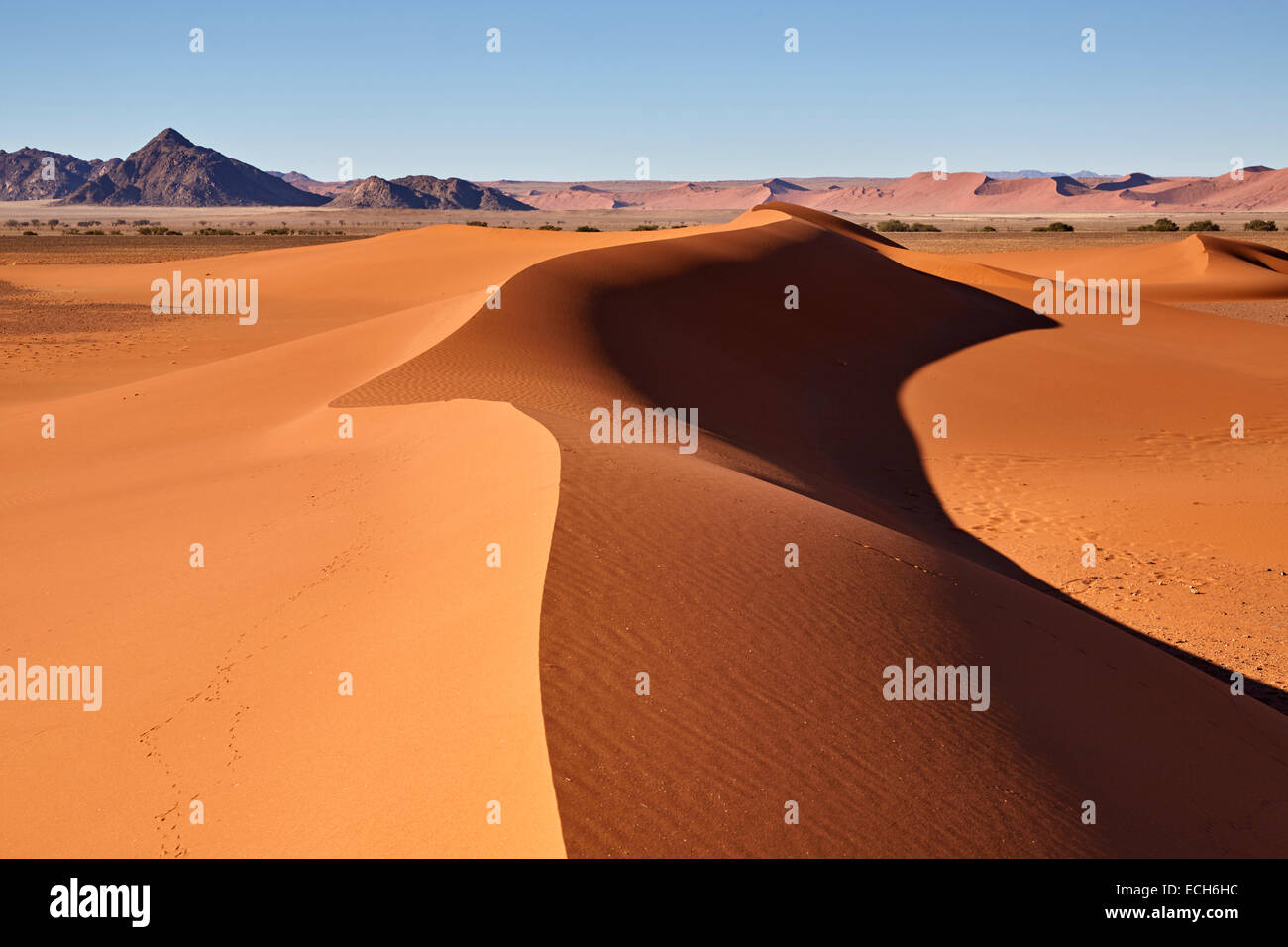 Dunes de sable, Sossusvlei, Désert du Namib, Namibie Banque D'Images