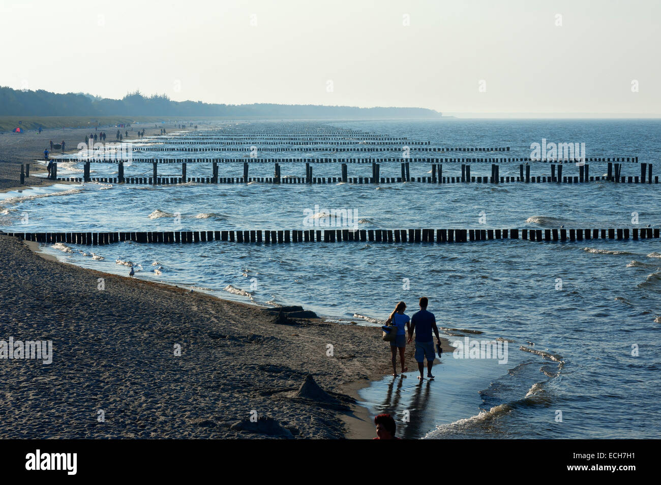 La mer Baltique avec épis dans le temps brumeux, Ahrenshoop, Darß, Mecklembourg-Poméranie-Occidentale, Allemagne Banque D'Images