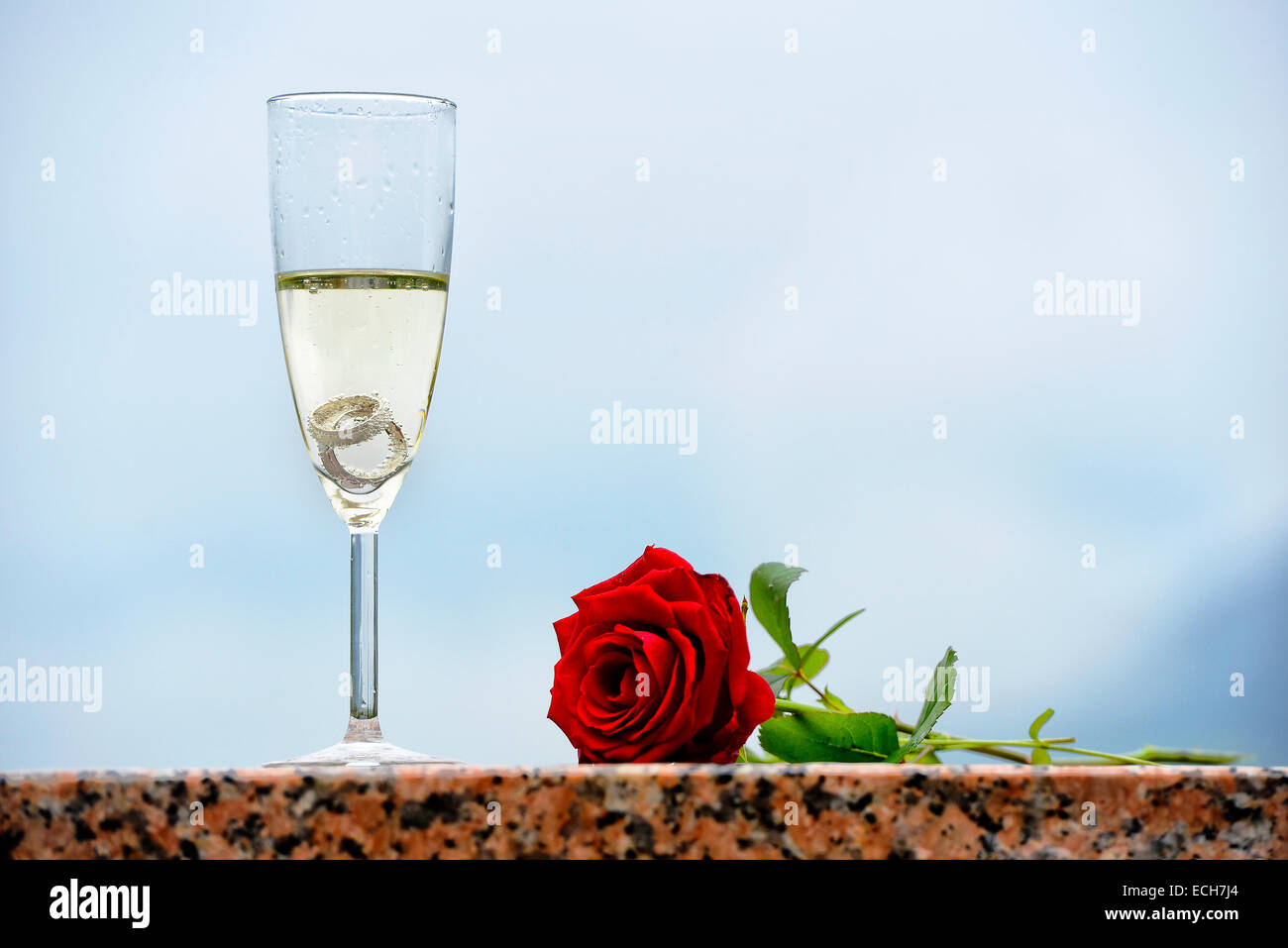 Les anneaux de mariage et rose rouge dans un verre à champagne Banque D'Images