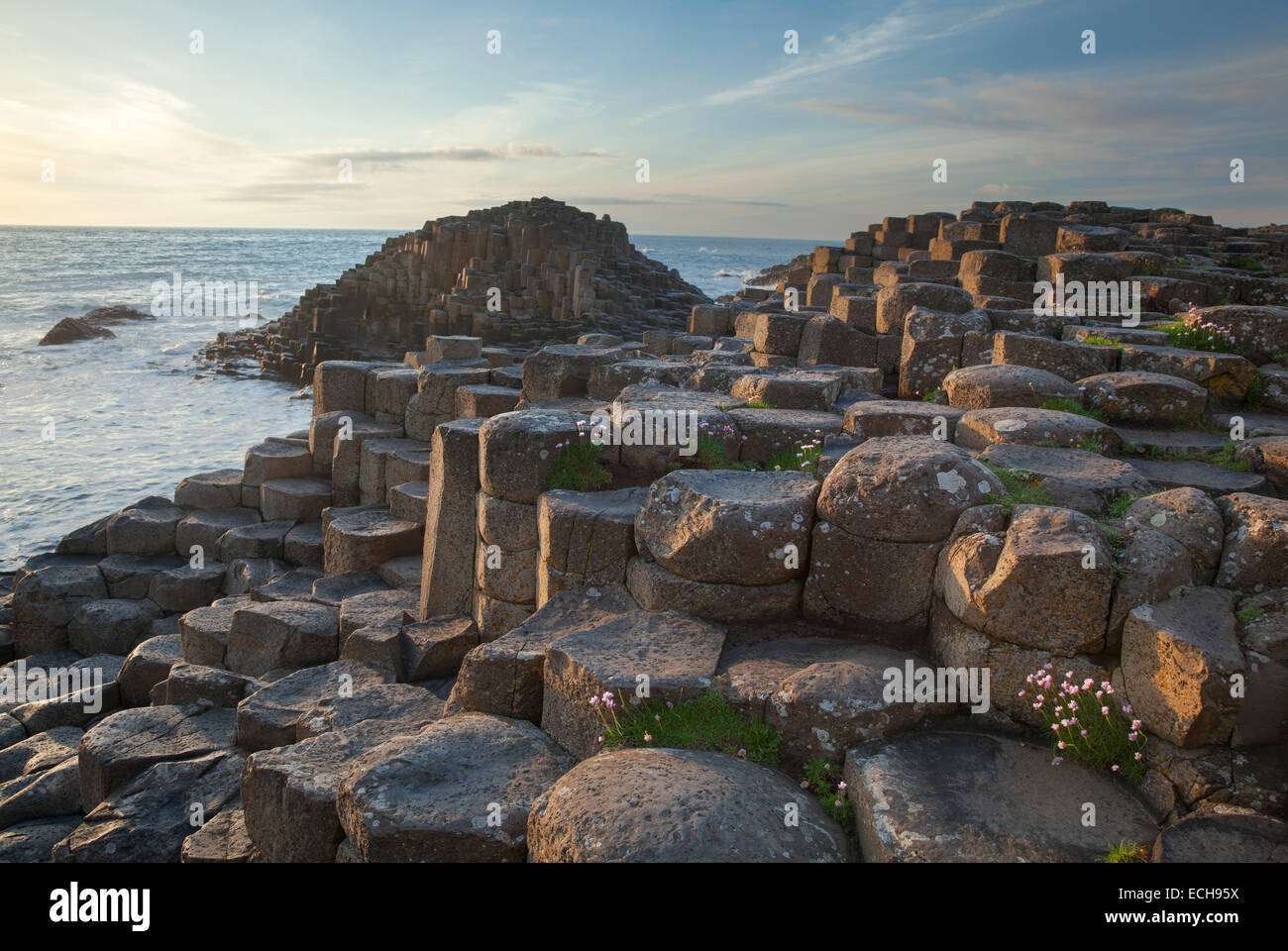 Les colonnes de basalte de la Giant's Causeway, côte de Causeway, le comté d'Antrim, en Irlande du Nord. Banque D'Images