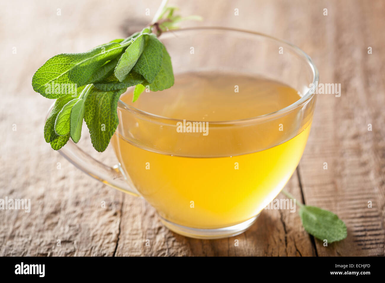 Plantes en bonne santé avec le thé vert feuille de sauge dans verre tasse Banque D'Images