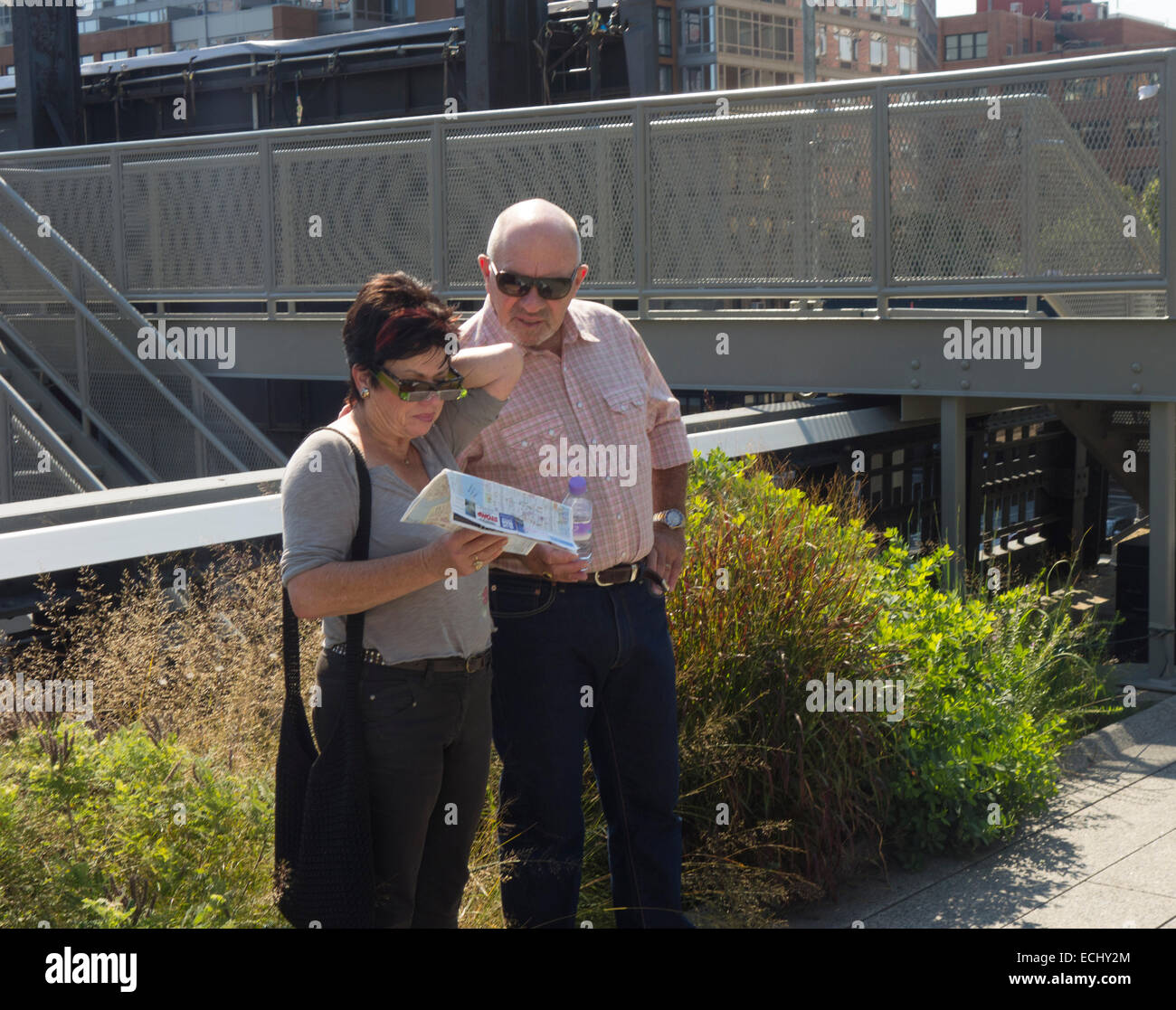 Jardin du parc High Line New York City Banque D'Images