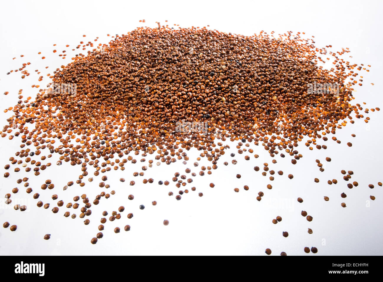 Graines de quinoa bio légumes céréales alimentaires Santé des acides aminés essentiels des plats sans gluten sans cholestérol sans gluten sans choleste Banque D'Images
