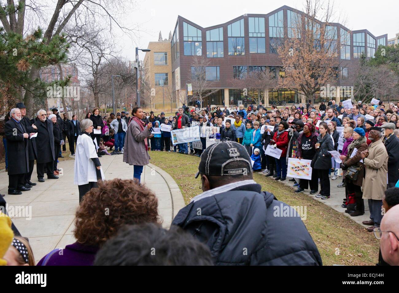 Une foule se rassemble dans le parc de Scoville pour protester contre les meurtres récents de noir les hommes et les garçons. Oak Park, Illinois. Banque D'Images