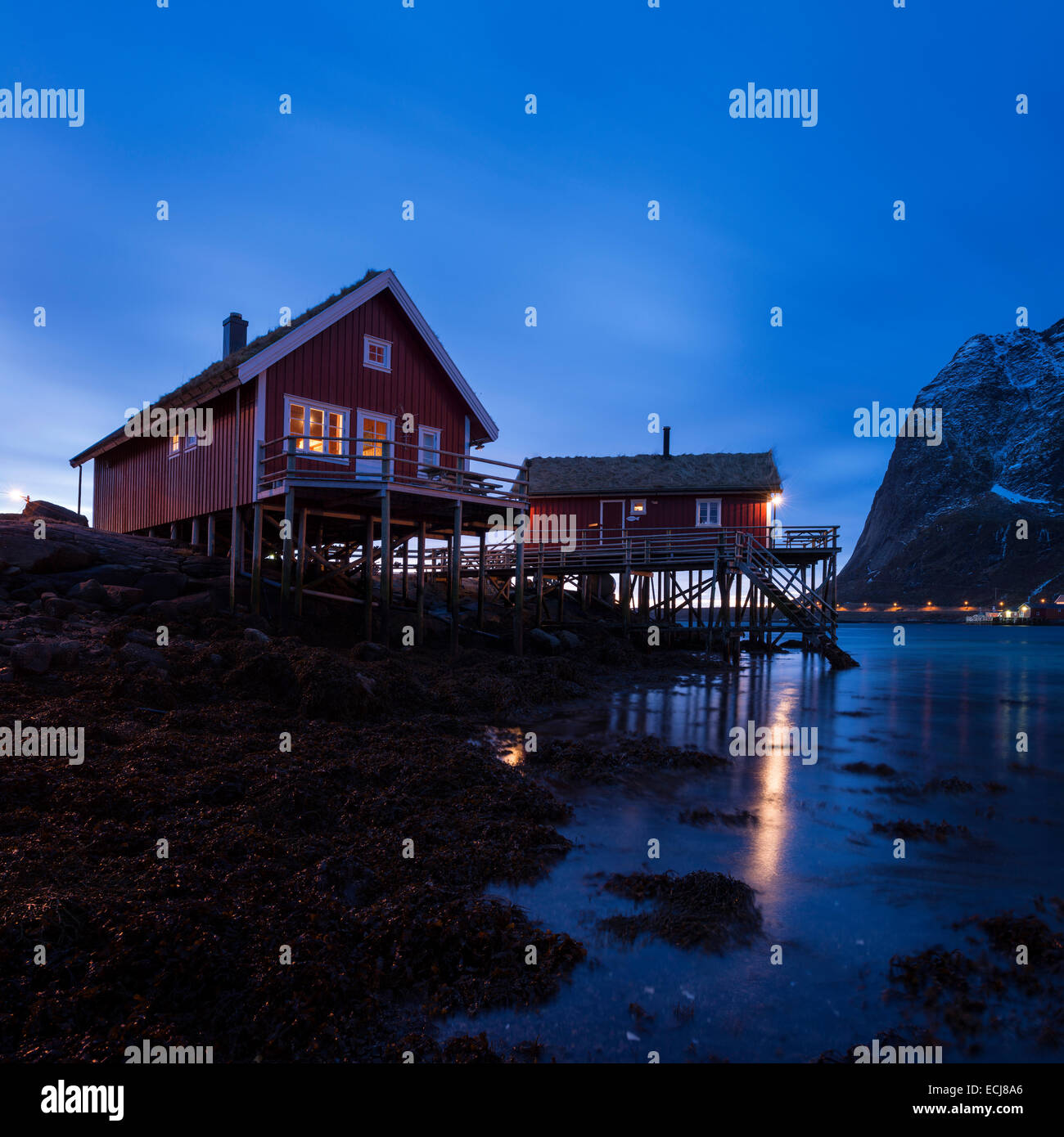 Cabines de pêcheurs traditionnels norvégiens - Rorbu, Valen, Reine, Moskenesøy, îles Lofoten, Norvège Banque D'Images