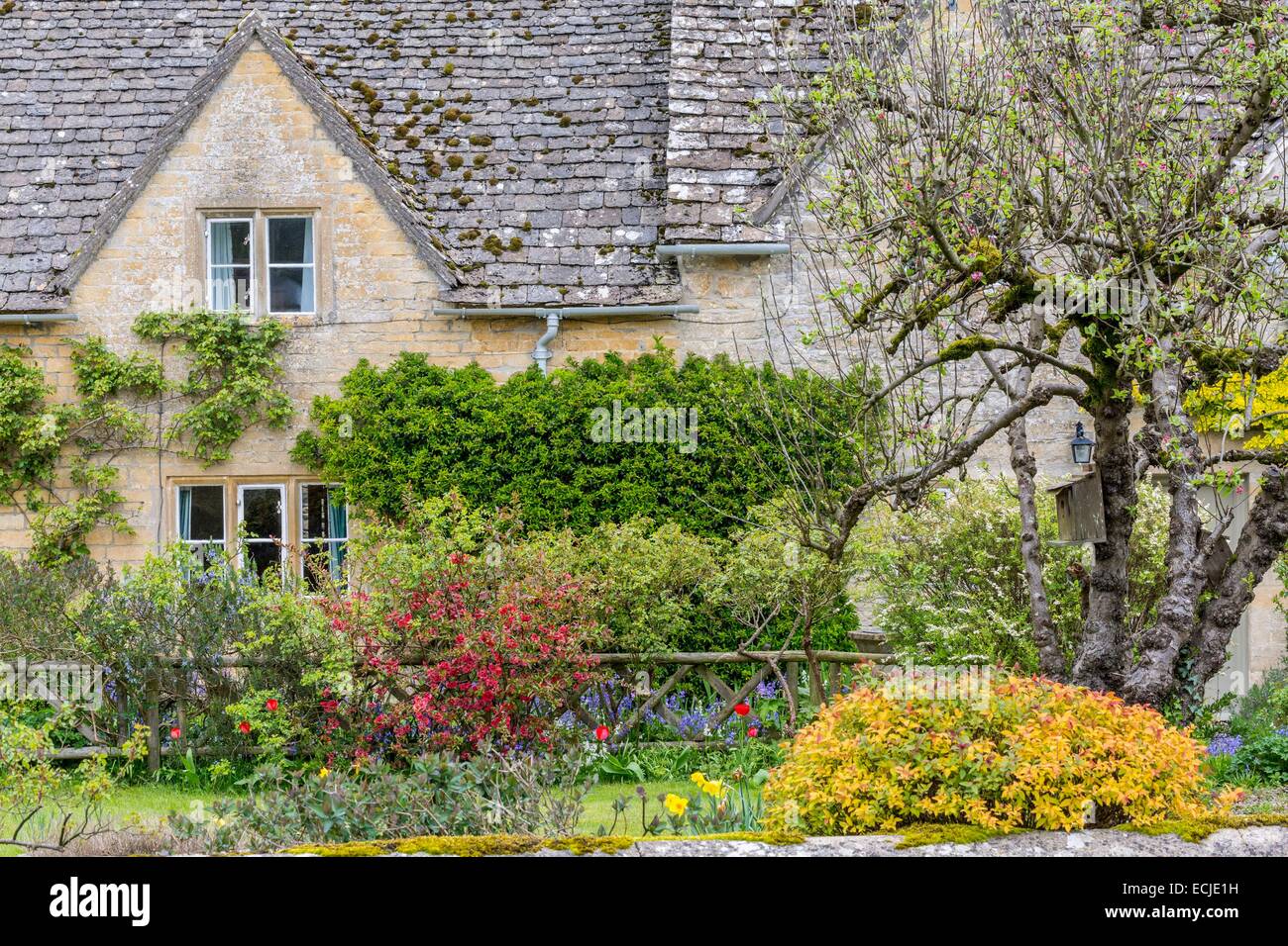 Royaume-uni, Gloucestershire Cotswold, district, région des Cotswolds, Bibury, village pittoresque avec ses maisons du 17e siècle Banque D'Images